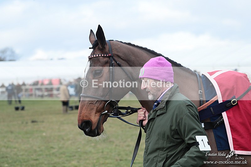 PtP 250126 1136 - Cocklebarrow Races Point-to-Point 25/01/26
