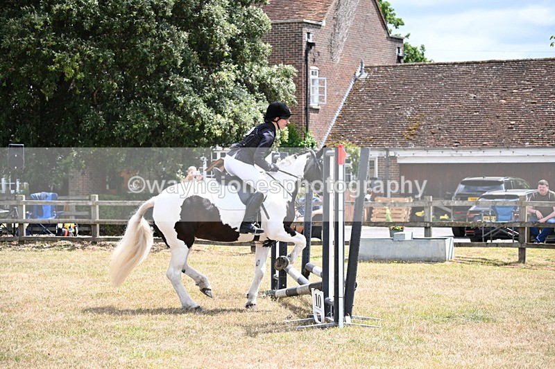 WJ6_5330 - Class 12 Minimus Jumping 45cm