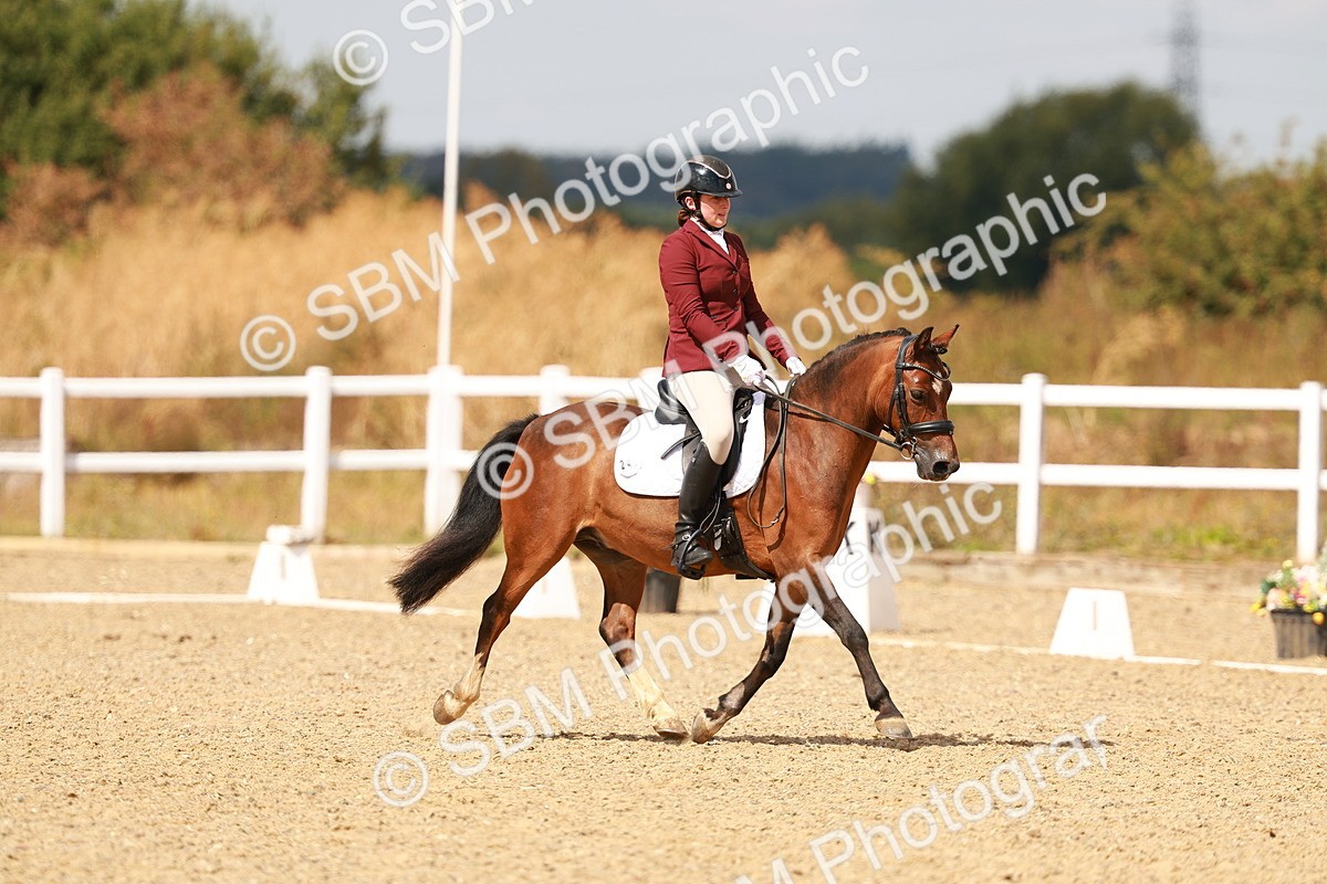 SBM_018639 - Class 9 - N5 Bronze 11.57.13.07