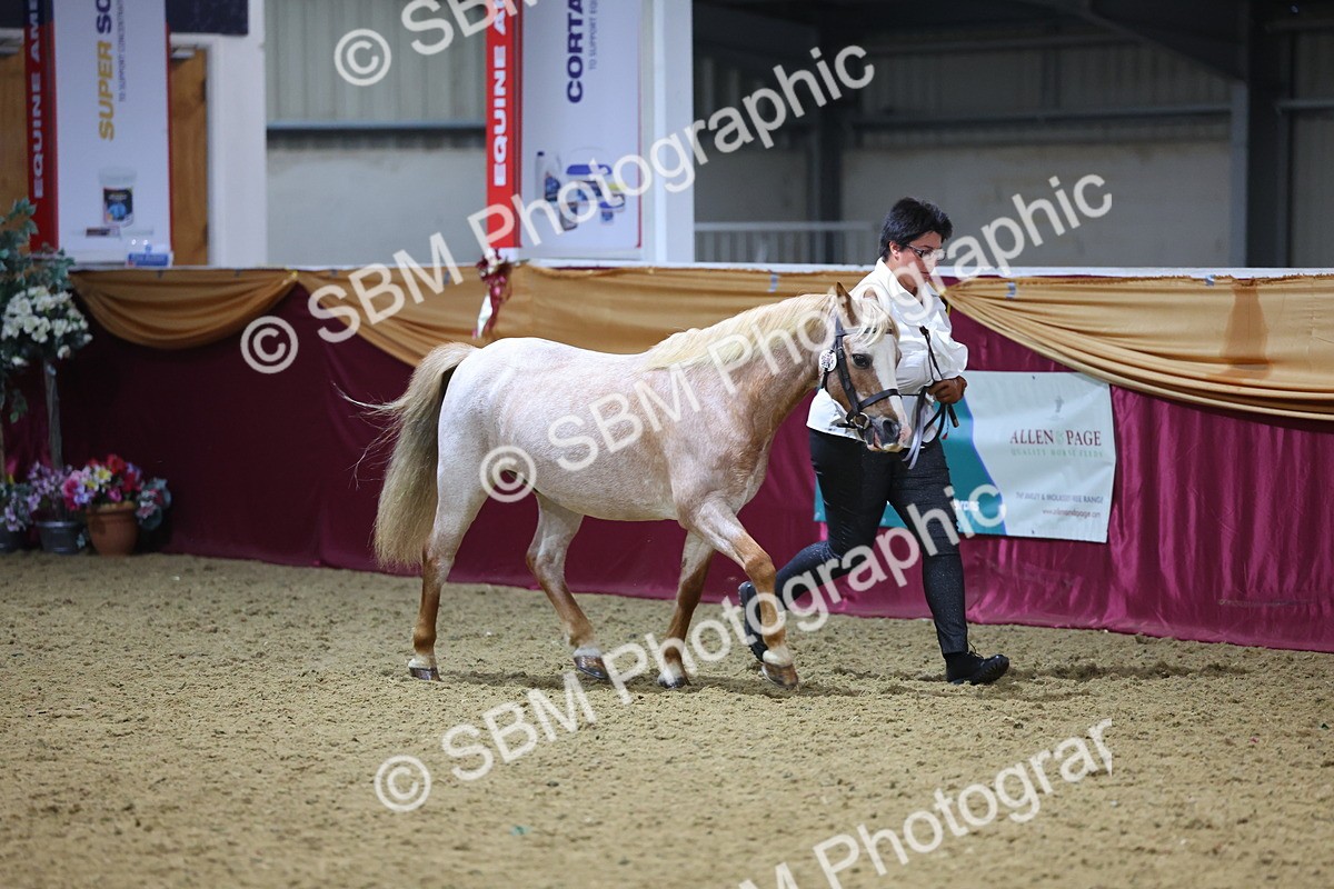SBM_20955 - Class 902 - Supreme Final IH Veteran