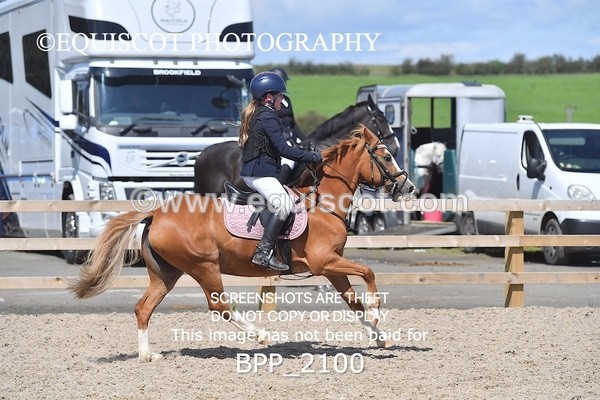 BPP_2100 - DERBY CLASS 6 - 70CM