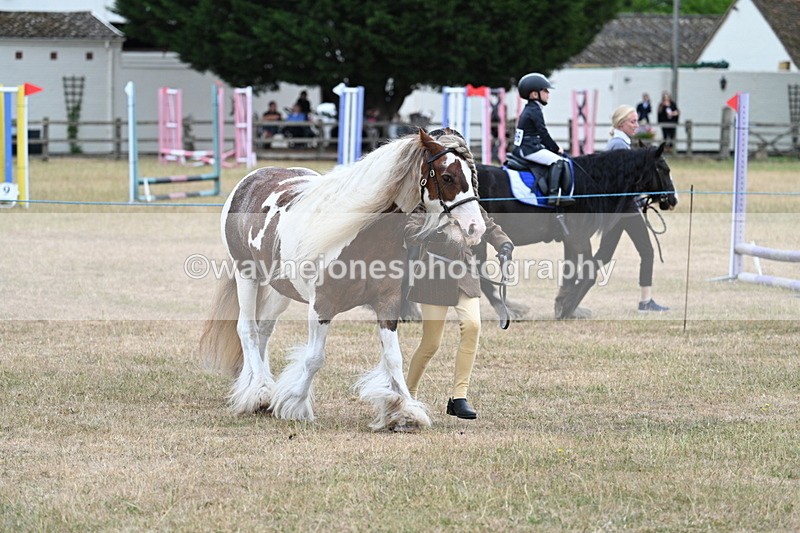 WJ7_8258 - Class 4 Prettiest Mare up to 14.2hh