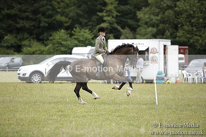 BVR160717-1322 - Ring 1 BVRC Show 16/07/17