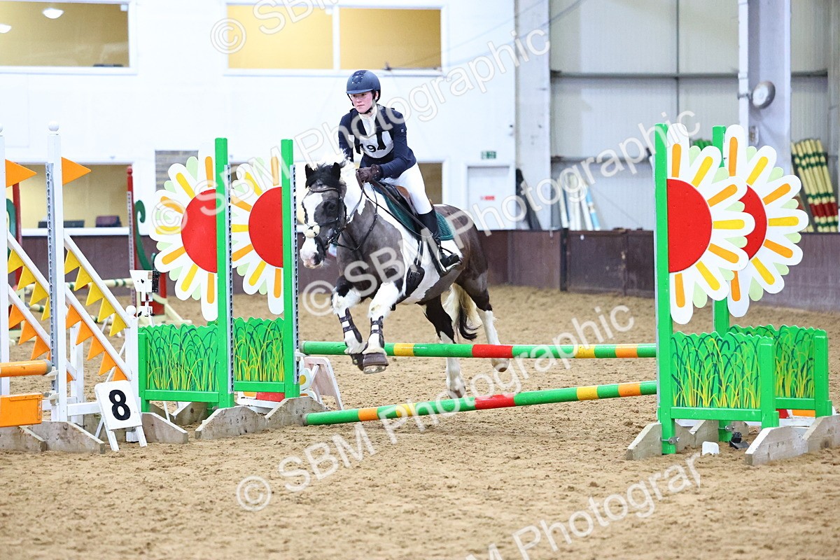 SBM_001332 - Class 3 - Christmas Tree Stakes - 60cm