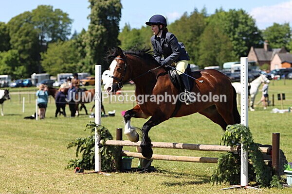 IMG_3495 - Working Hunter