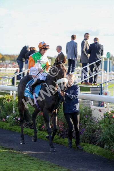 yr08102022r7-19 - Race 7 5.00pm The Coral Gets You Closer To The Action Stakes