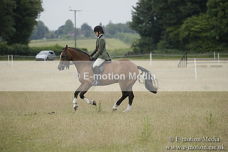 B230619-0942 - Bourne Valley Riding Club Summer Show 23/06/19