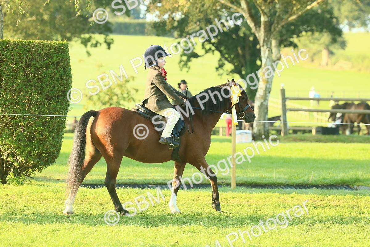 SBM_56779 - S36 - Starters Best Turnout