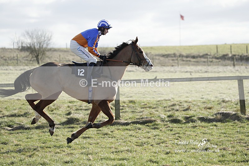 PtP 260223 1117 - South & West Wilts Point-to-Point Larkhill 26/02/23