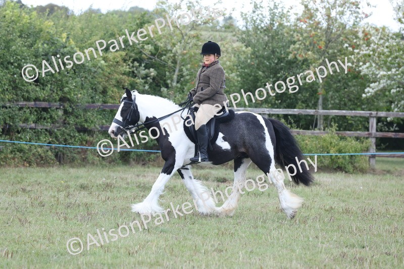 20250831-4282 - Class 20 - Ridden Coloured