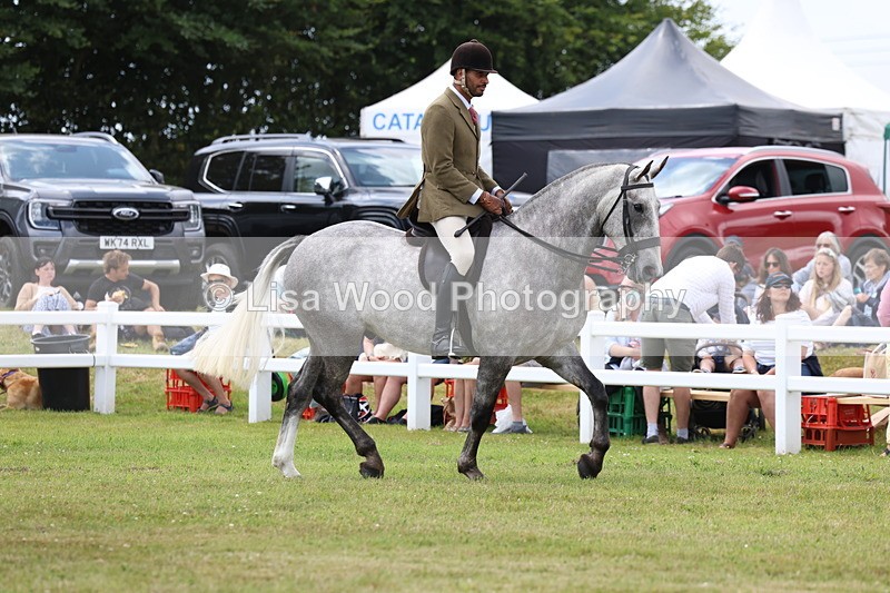 3E7A1889 - Class 10: Open Cob