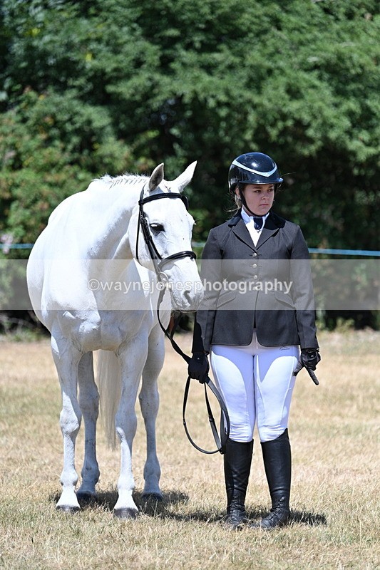 WJ7_2362 - Class 5a Most Handsome Gelding in hand (above 14.2hh)