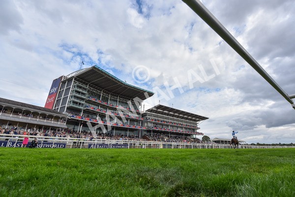 220825-Race 4-Asfoora-9414 - Race 4 3.35pm Coolmore Wootton Bassett Nunthorpe Stakes