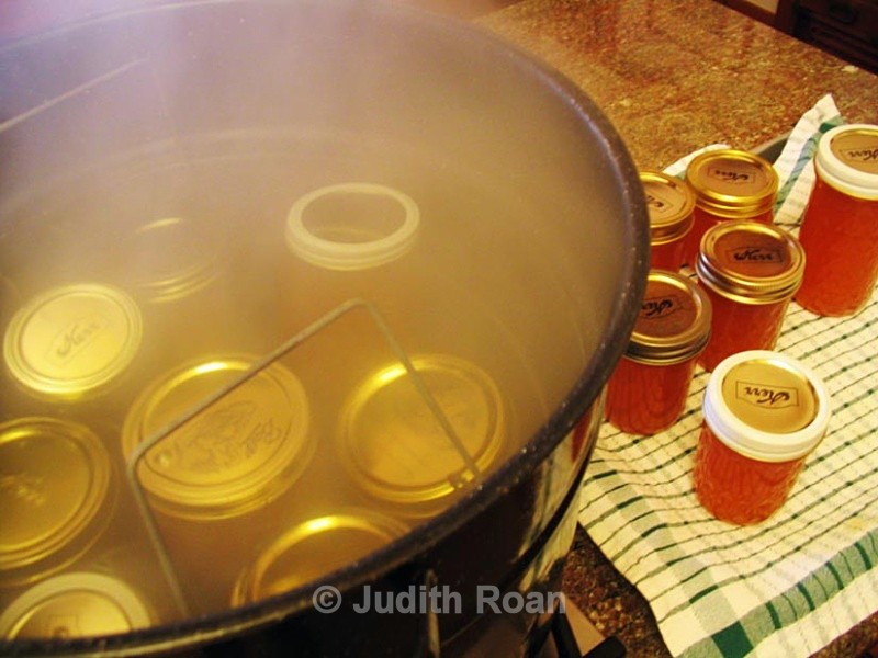 Quince-8 - Quince Jelly