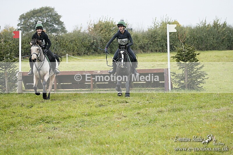 WWHT 181020 WWHT 181020 945 - WWEC Novice Pairs (0.80m) 18/10/20