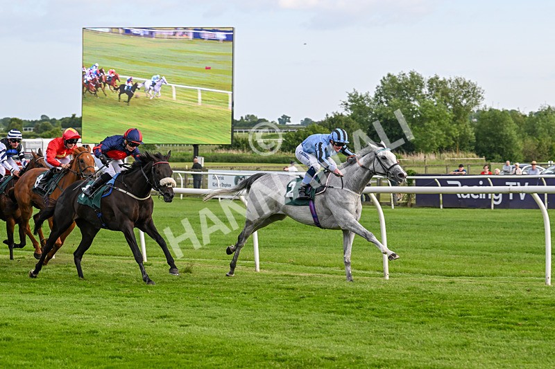 100625-Race 5-Crowns Lady-7253 - Race 5