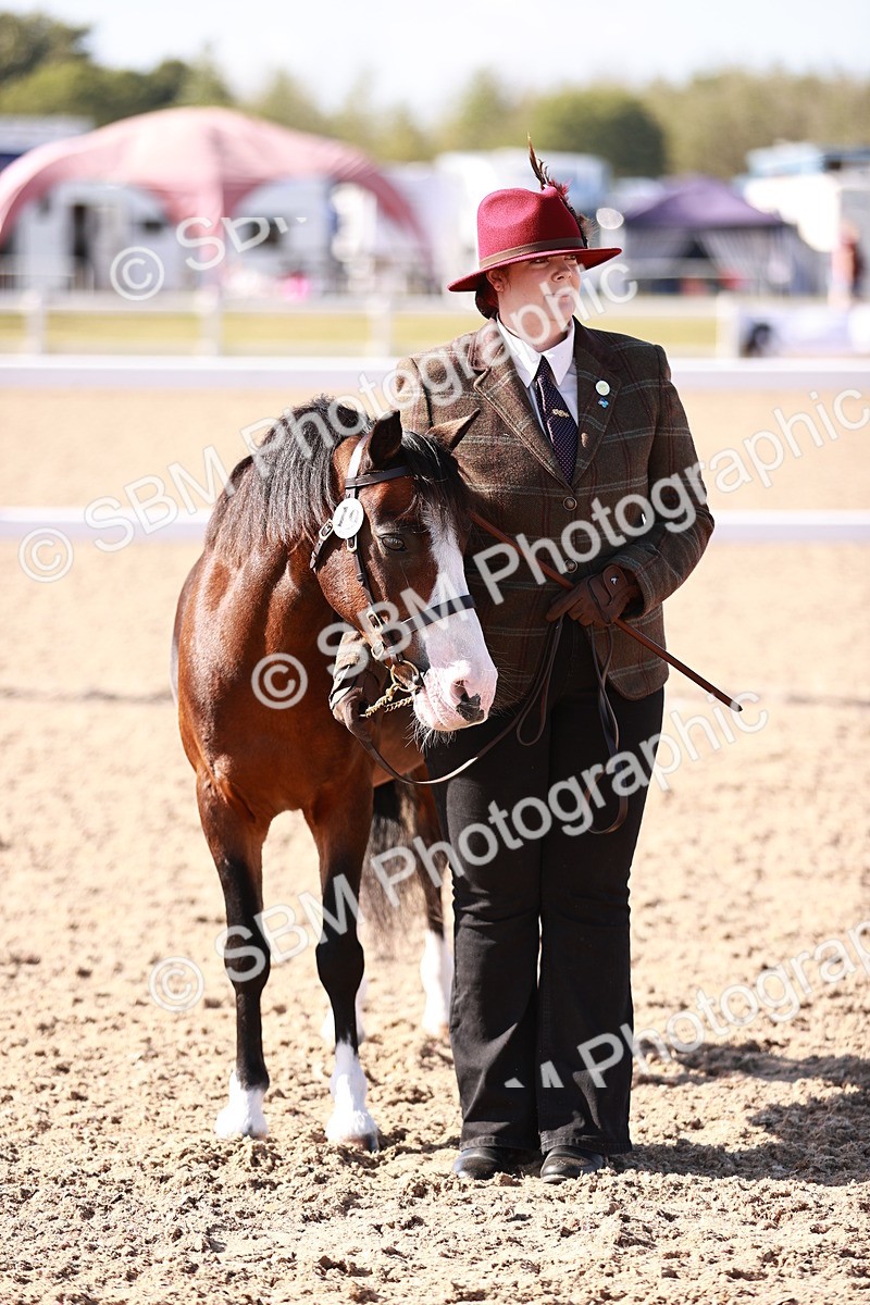 SBM_22723 - Class 704 - IH  Rescue