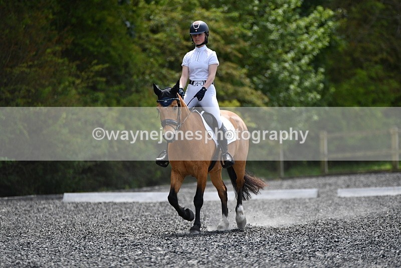 WJ5_0965 - Time 13:45 to 14:20