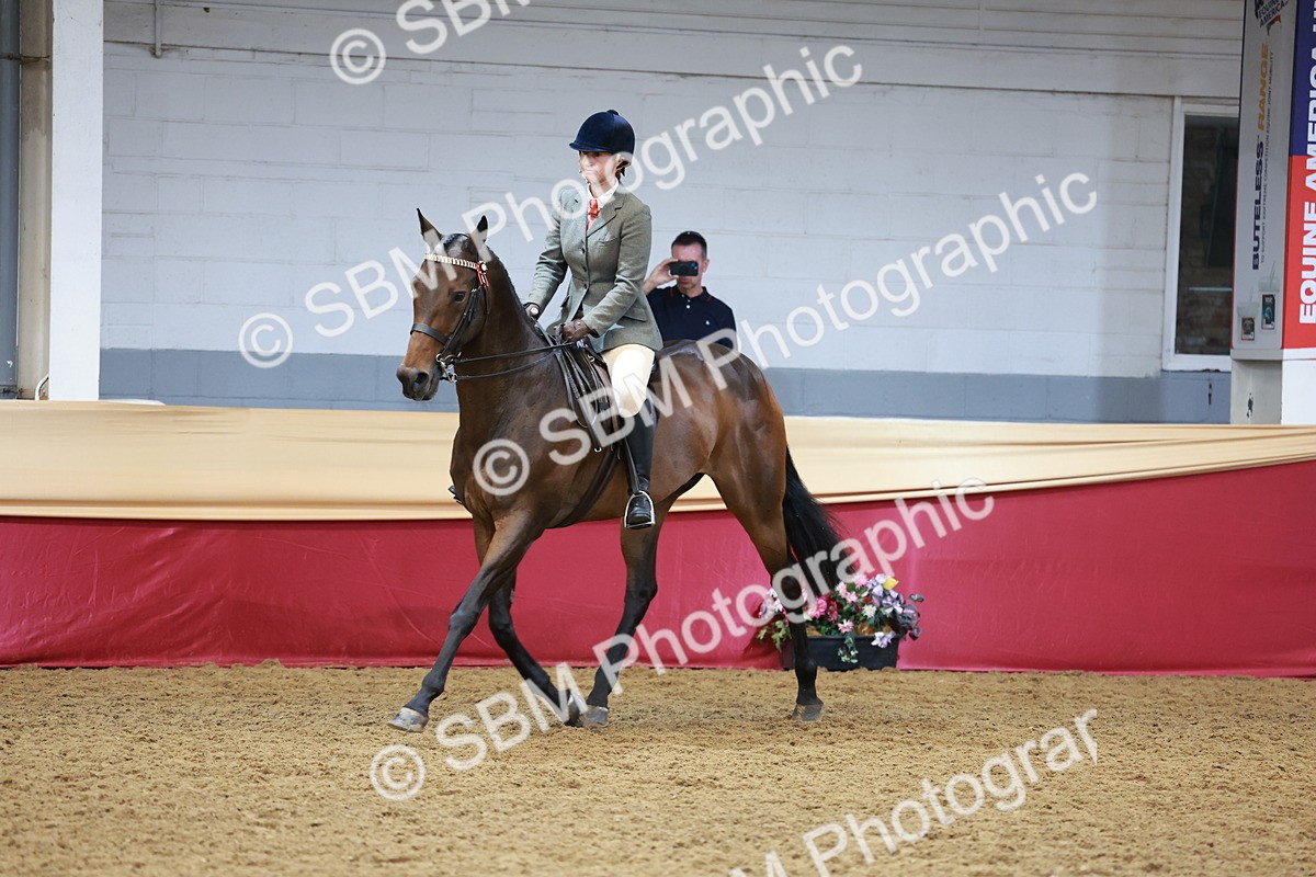 SBM_14959 - Class 108 - Ridden Retired Racehorse