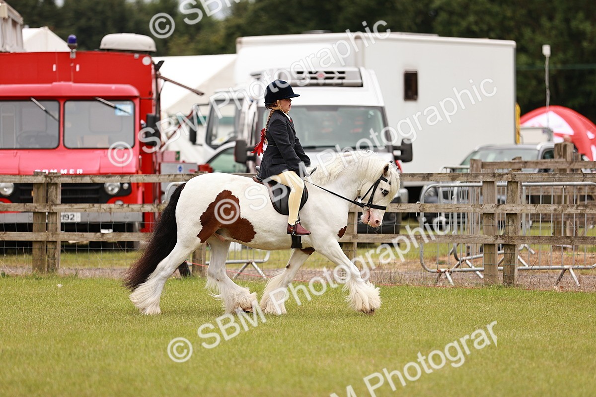 SBM_06231 - Class 39-41 TGCA In Hand and Ridden