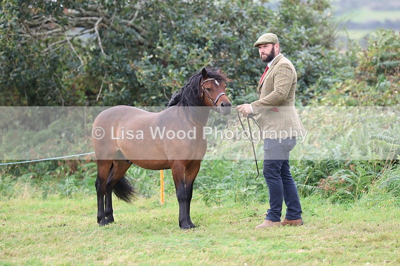 3E7A4581 - Class 16: Best Grass Kept