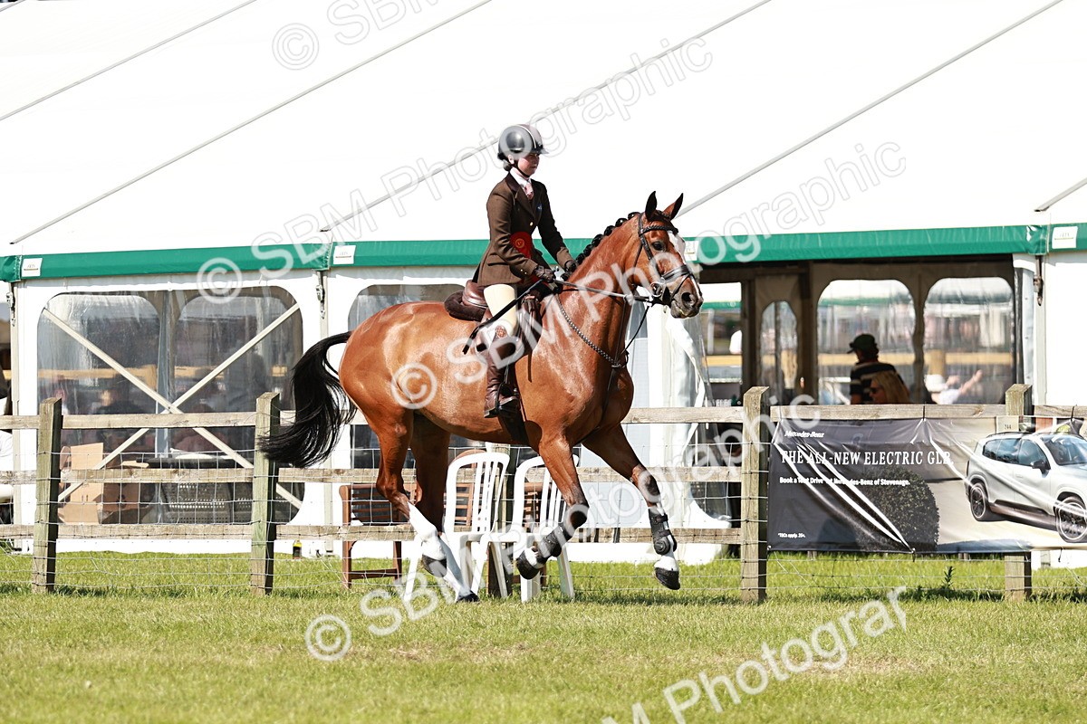 SBM_18521 - Class 112-113 - BSPS LIHS Working Sports Pony