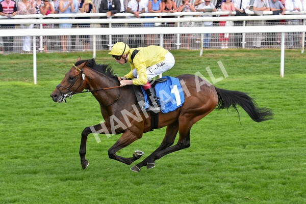 yr08072022r4-28 - Race 4 3.50pm William Hill Pick Your Places Stakes