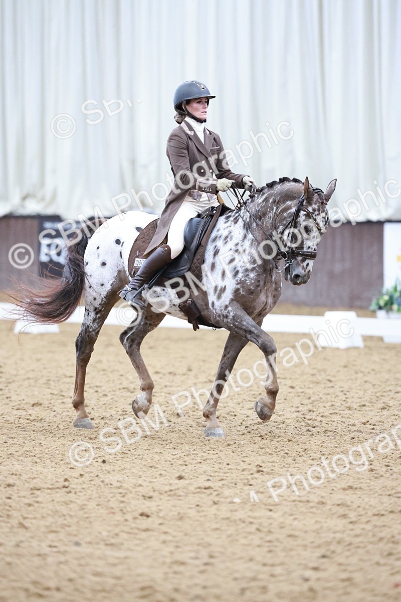 SBM_021407 - Class 14 - FEI Grand Prix - 17.40-18.34