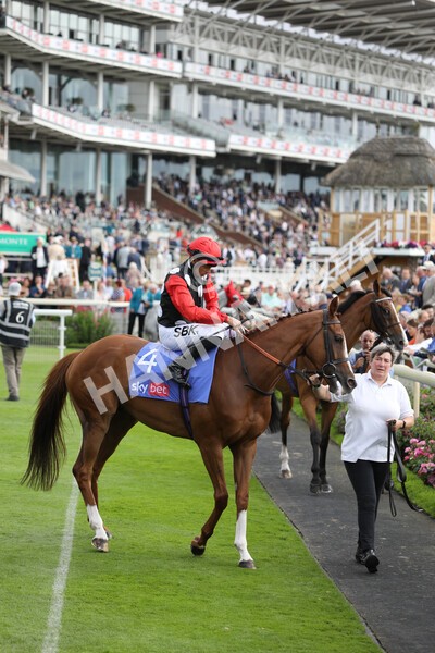 yr17082022r5-2 - Race 5 4.10pm Sky Bet Stayers Stakes