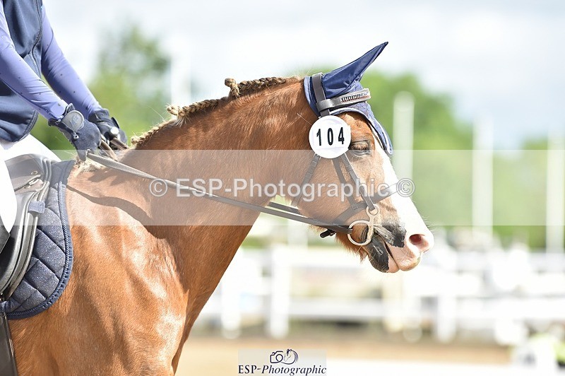 250622-093034-12779 - Quest Cls 19-24 Intro Tests