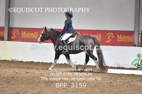 BPP_3159 - INTRO TEST 3