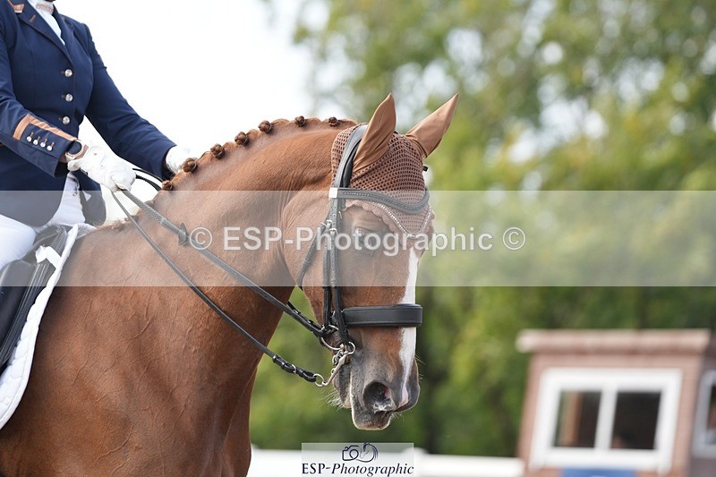 250907-160912-09771 - 126-Clair.ReedCatherston.Specific