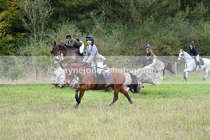 WJ7_3824 - Camera 1 Line 1