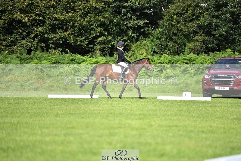 230826-090509-15022 - Sections C & D 9 to 10am