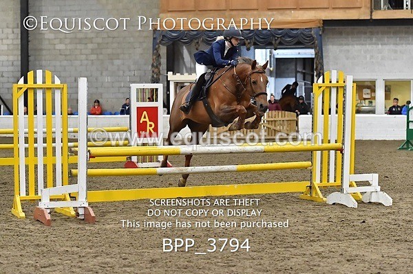 BPP_3794 - FRI CLASS 21 BR NOVICE/90CM