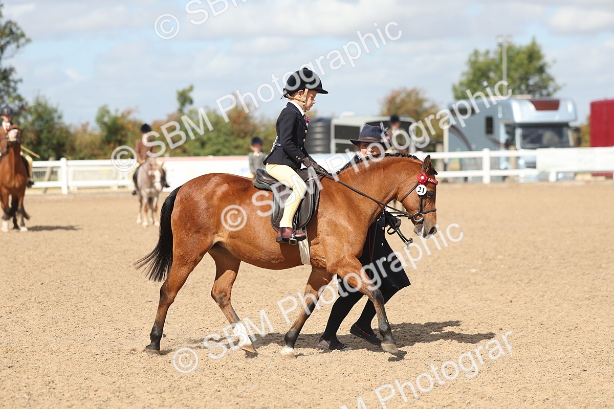 SBM_23147 - Class 806 - Young Rider 10ry and Under