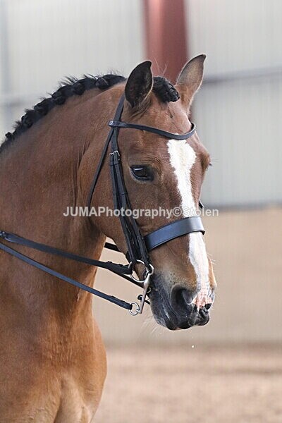 SIAL1627 - Indoor Classes