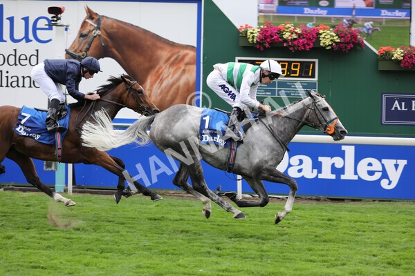yr18082022r4-35 - Race 4 3.35pm Darley Yorkshire Oaks (British Champions Series Race)