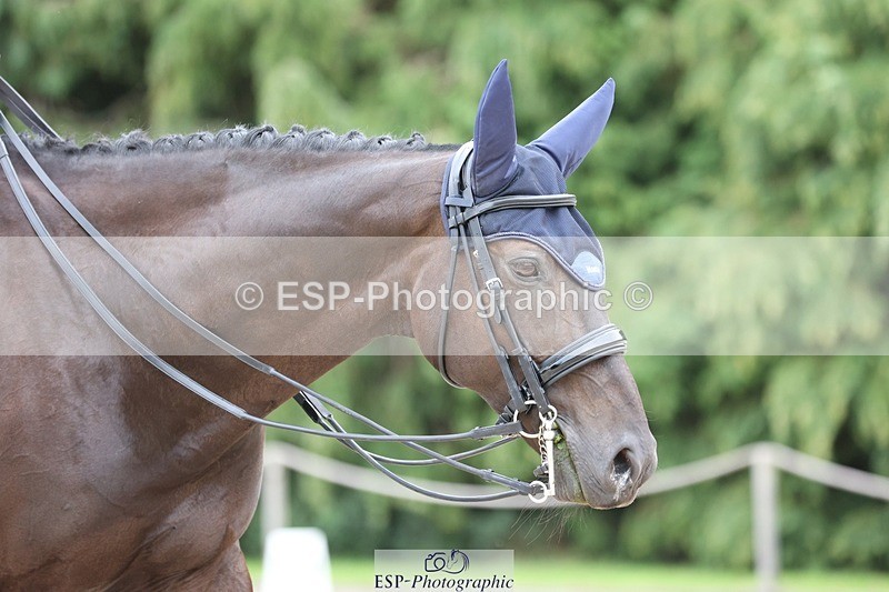 230813-154708-08150 - Cls 11 Elem Bronze 14.30 to End