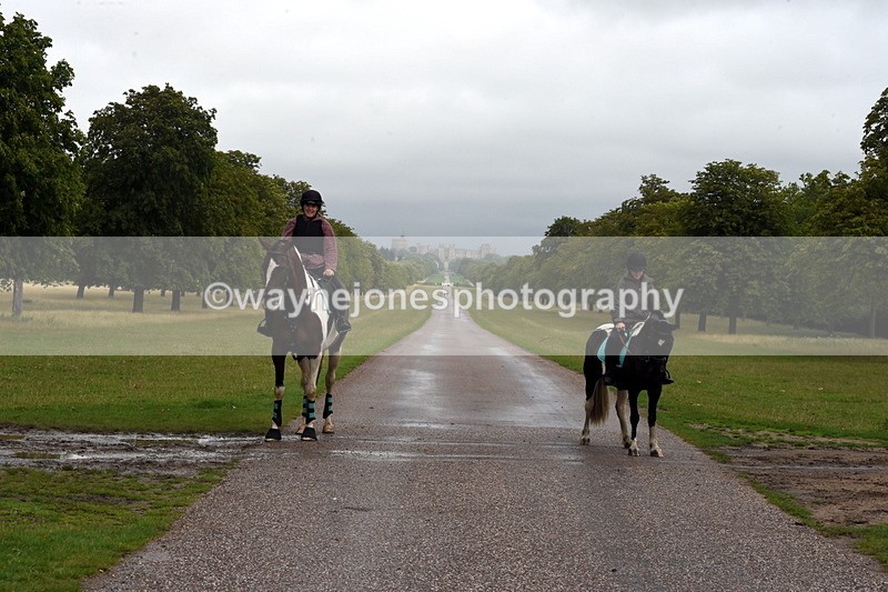 TT3_8276 - Time at Crossing 10:16 to 11:38