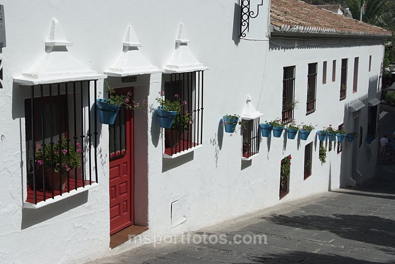 Blue plant pots - Travel, city/land scapes