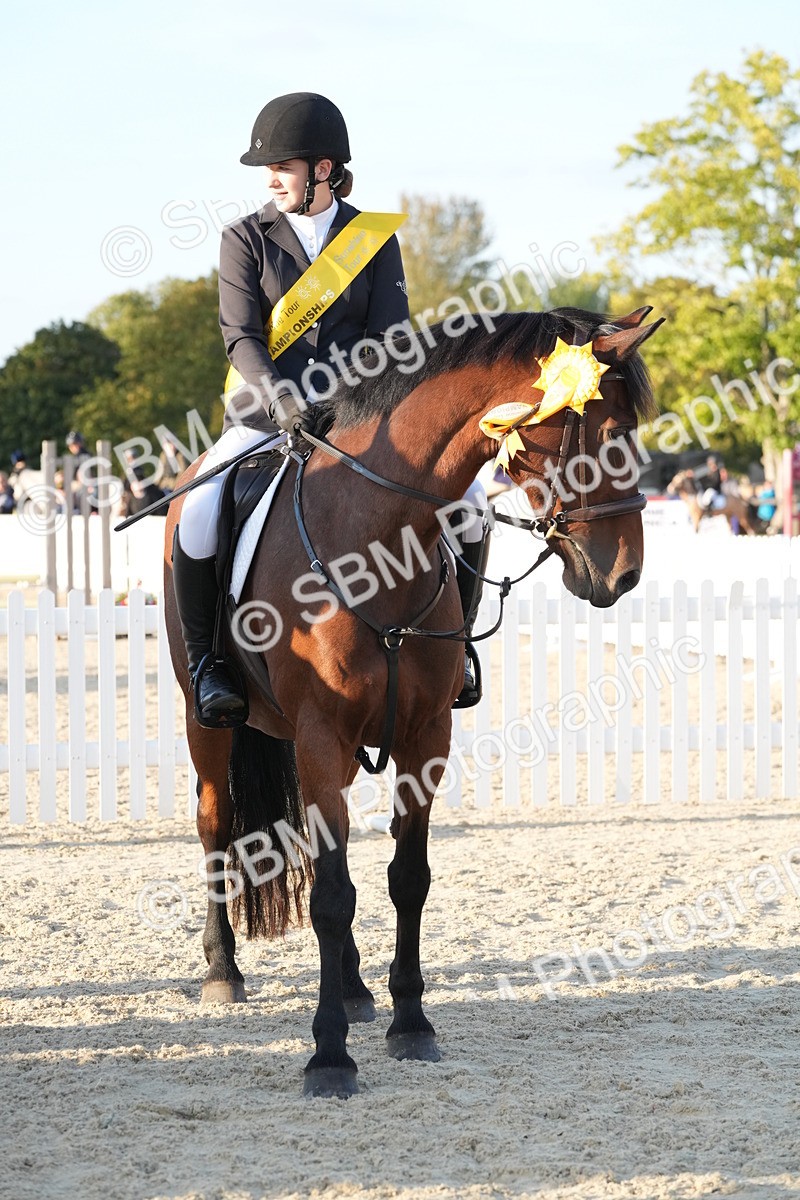 SBM_54300 - J23 - Junior Horse 70cm Championship
