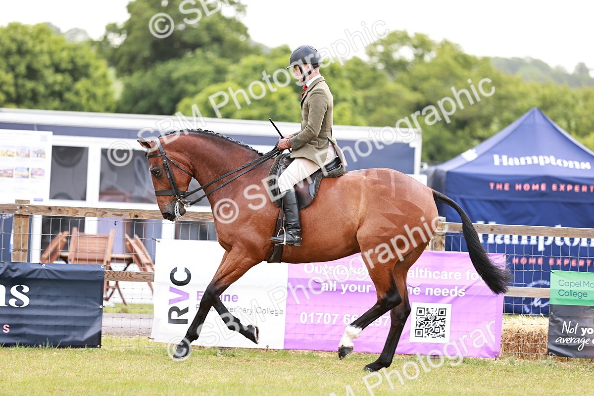 SBM_10778 - Class 81-84 - RIHS Ridden hunters Inc Ladies Hunter