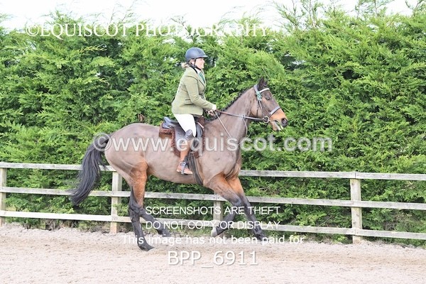BPP_6911 - RING 1  (RIDDEN HORSES / IN HAND / VETERAN ETC)