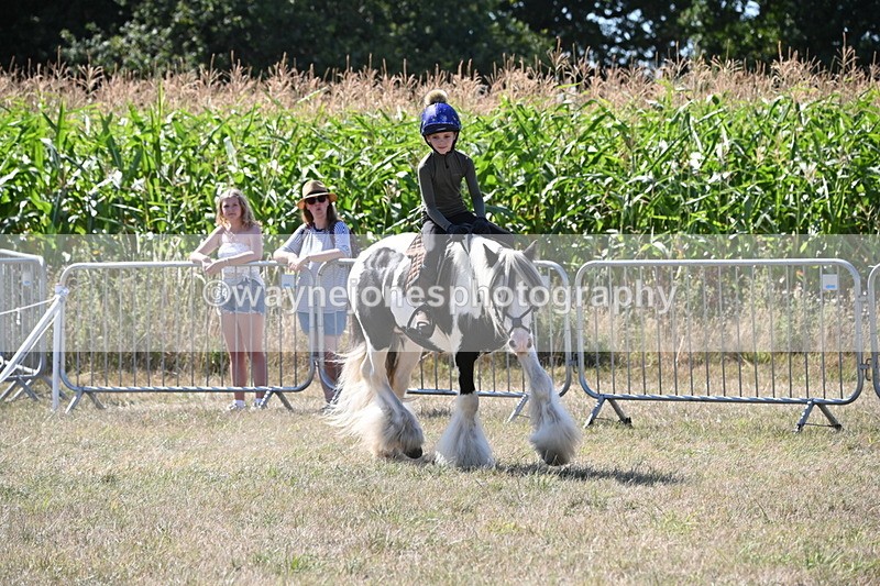 WJ6_8964 - Class 38 Ridden Riding Horse/Pony