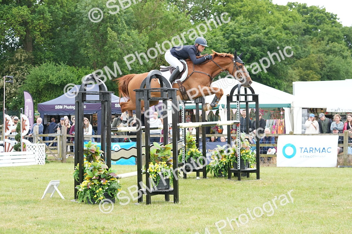 SBM_05322 - Class 201 - British Horse Feeds Speedi Beet Horse of the Year Show Grade  C