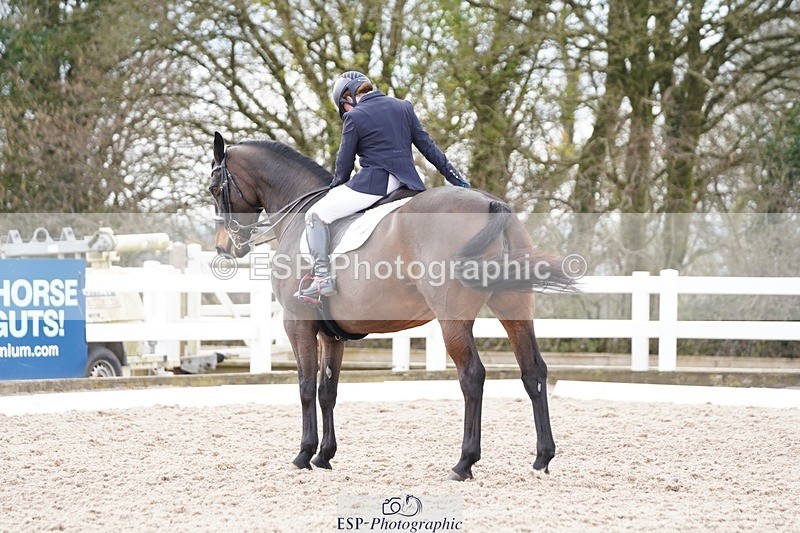 250322-130342-00432 - DR Elementary 2 Test