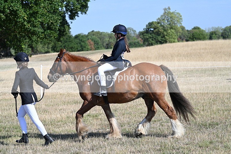 WJ7_3018 - Class 8 Ridden Tack & Turnout