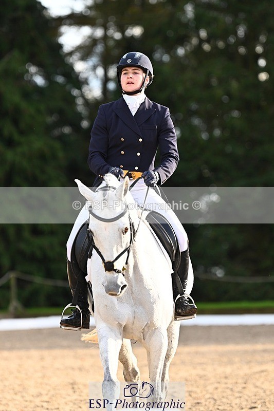 231021-155852-20985 - 262-GOOD.BOY.ALEX-Tara.Jefferies-DR