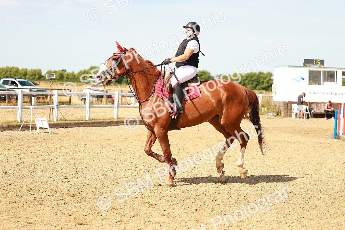 SBM_002595 - Class 9 - Senior British Novice - 90cm
